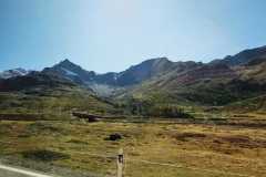 IMG-20260913-WA0028